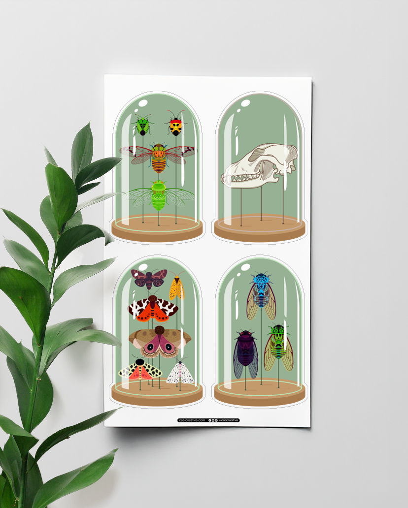 Curiosity Domes 4"x7" Sticker Sheet