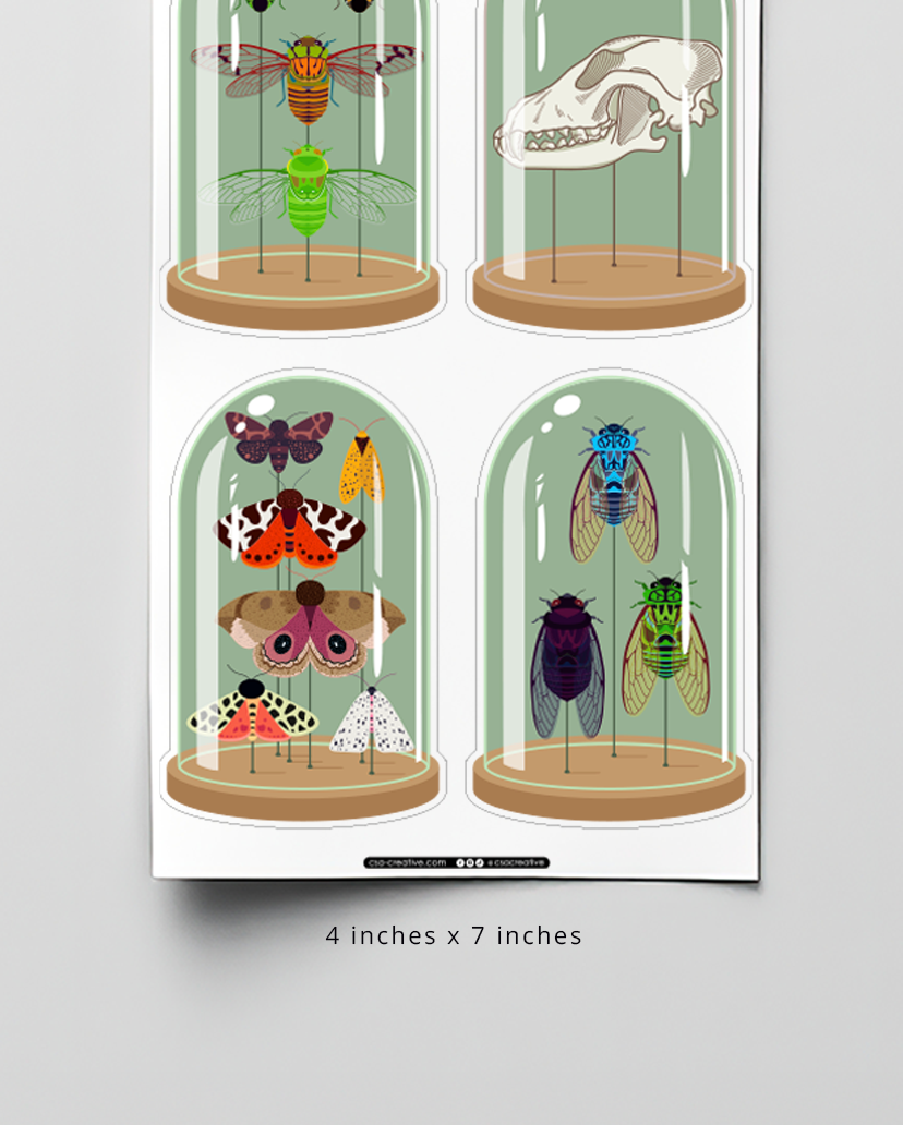 Curiosity Domes 4"x7" Sticker Sheet