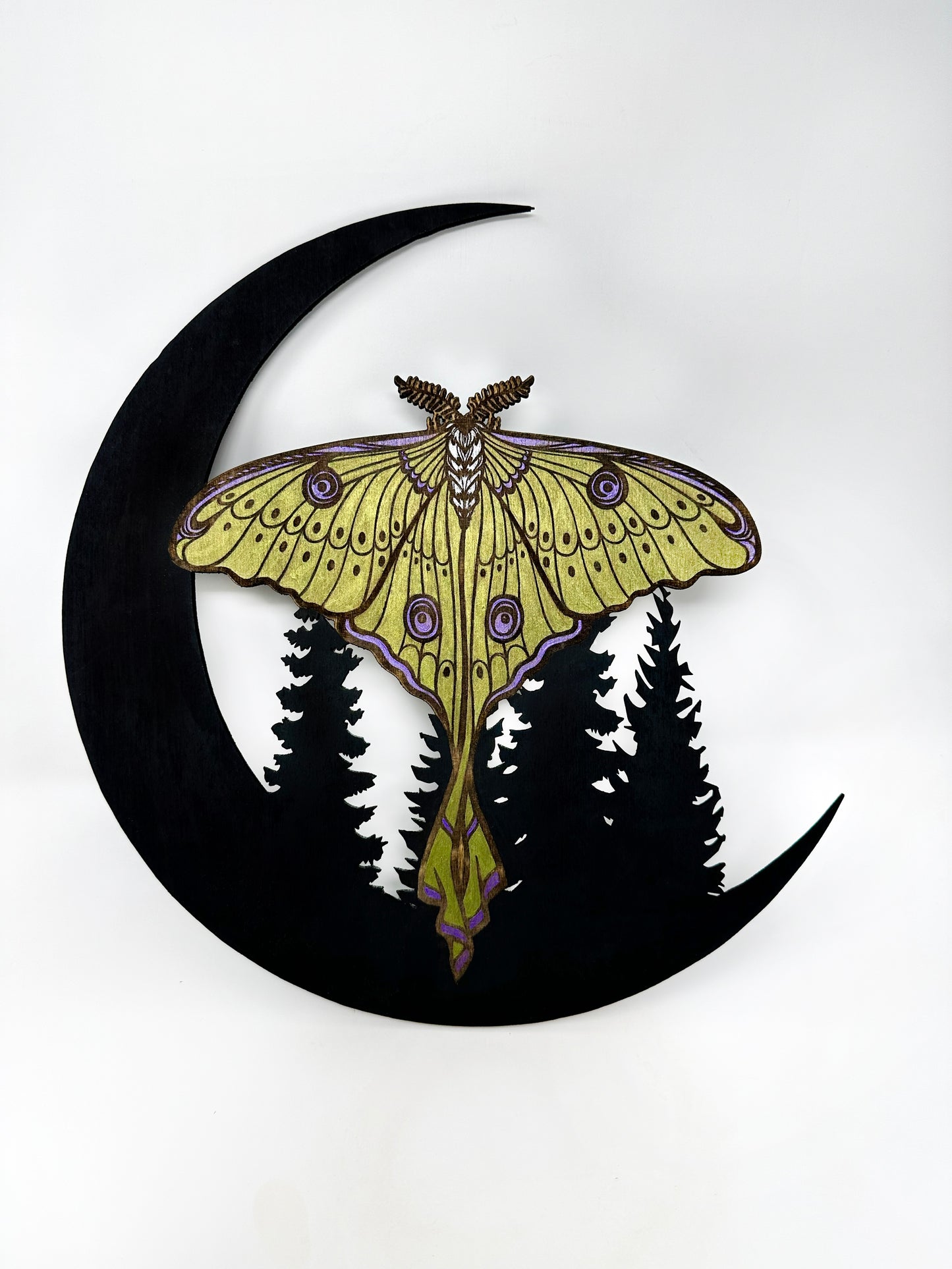 Luna Moth Wall Hanging