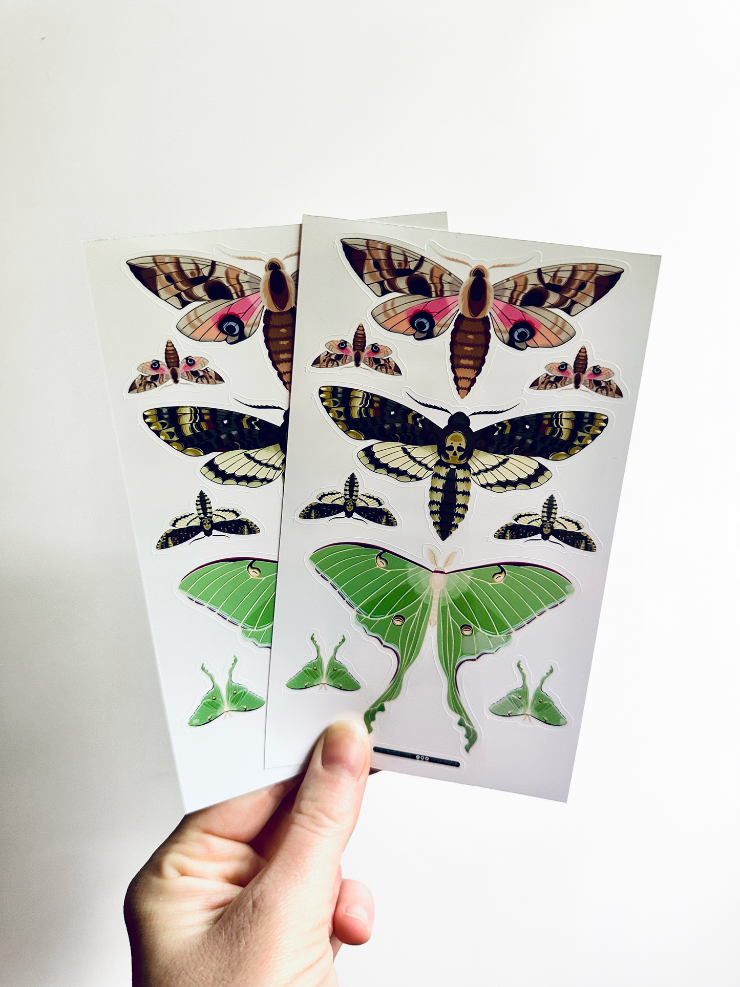 Night Moths 4"x7" Sticker Sheet