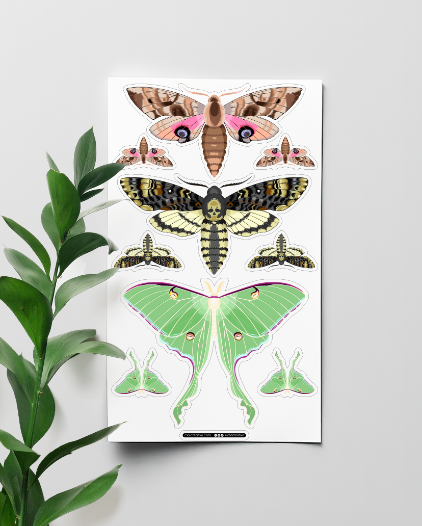 Night Moths 4"x7" Sticker Sheet