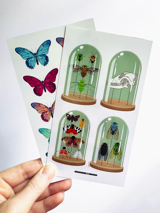 Curiosity Domes 4"x7" Sticker Sheet