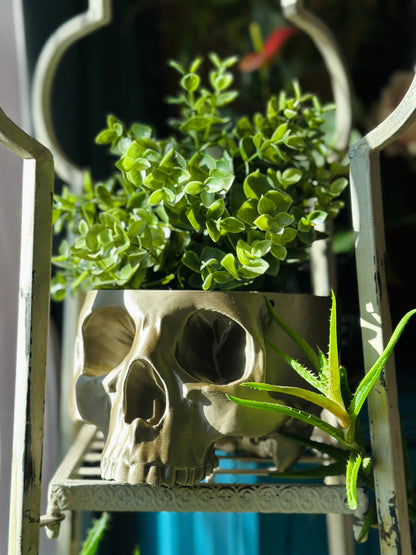 Hanging Skull Planter