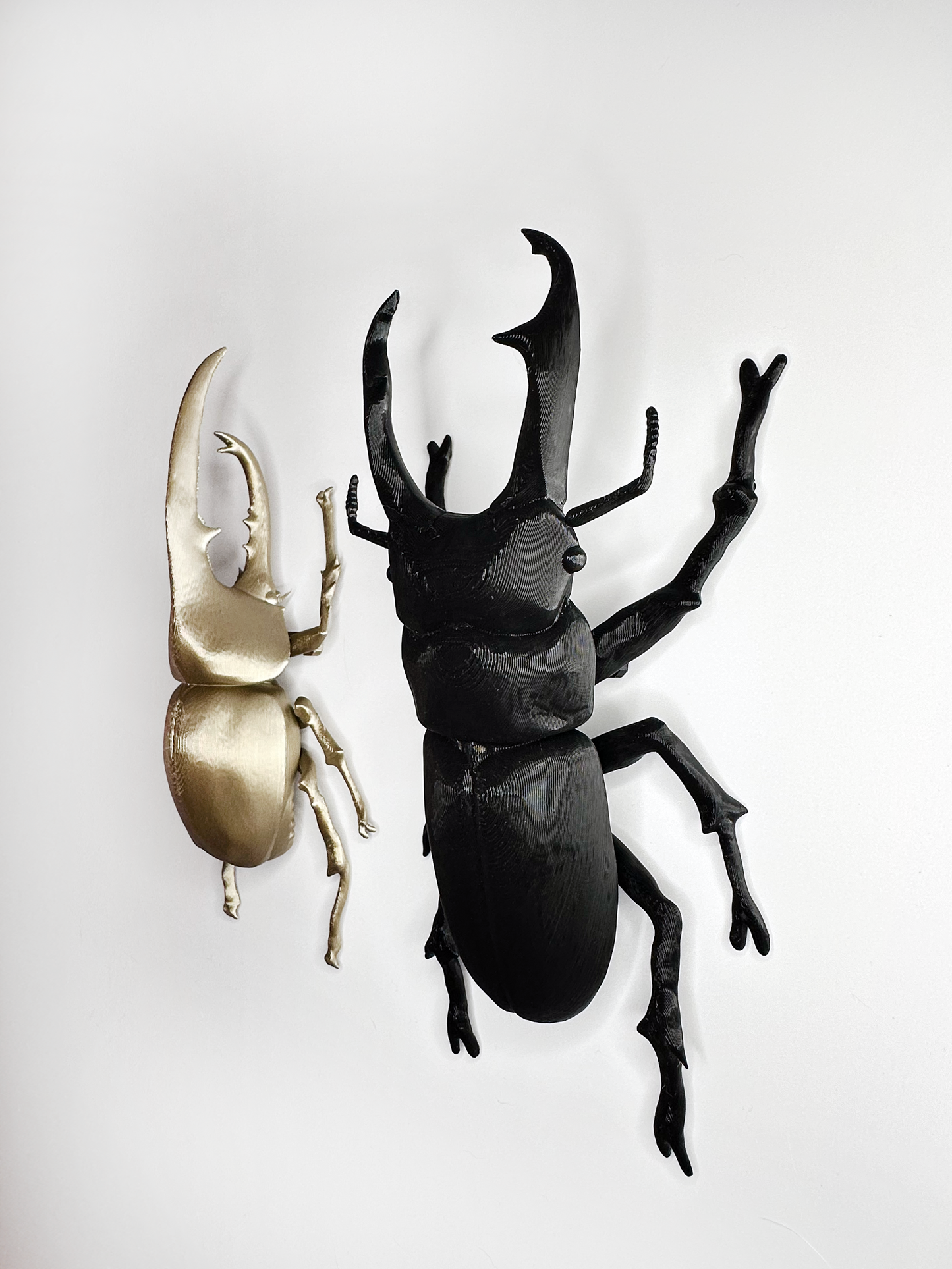 Giant Beetles
