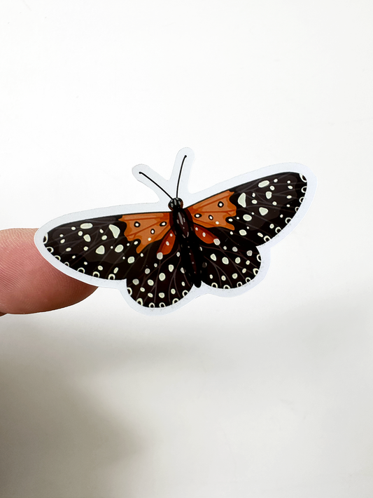 Orange Butterflies 4"x7" Sticker Sheet
