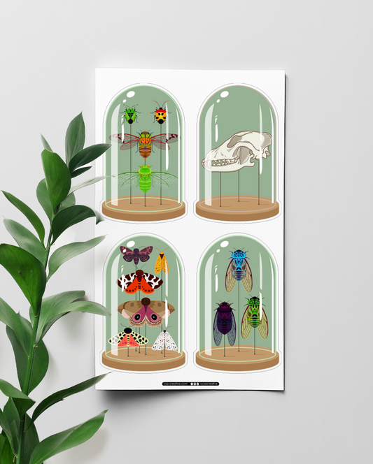 Curiosity Domes 4"x7" Sticker Sheet