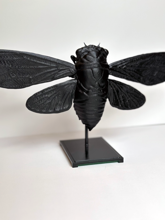 Cicada With Stand