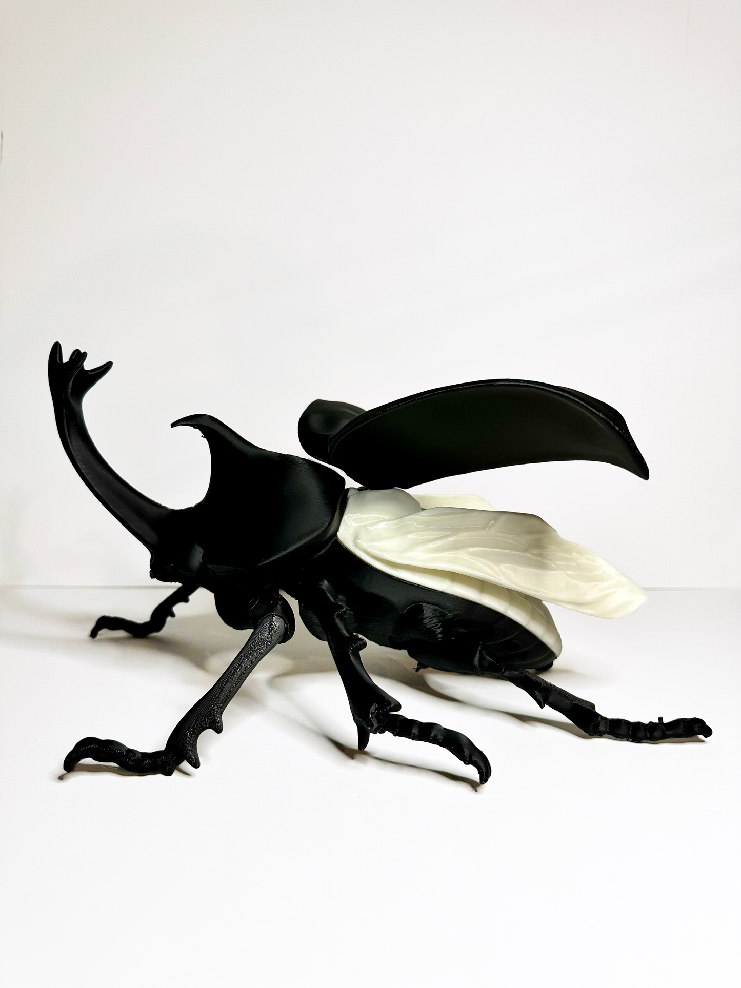 Rhino Beetle Lamp