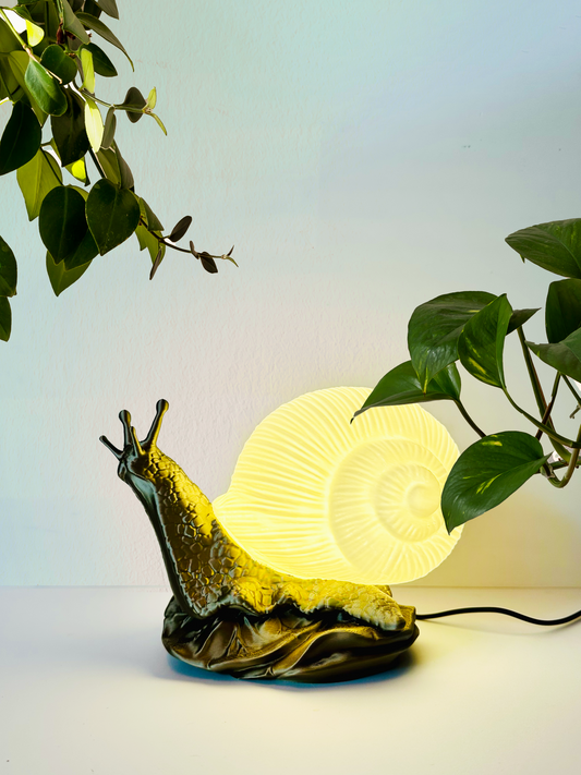 Snail Lamp