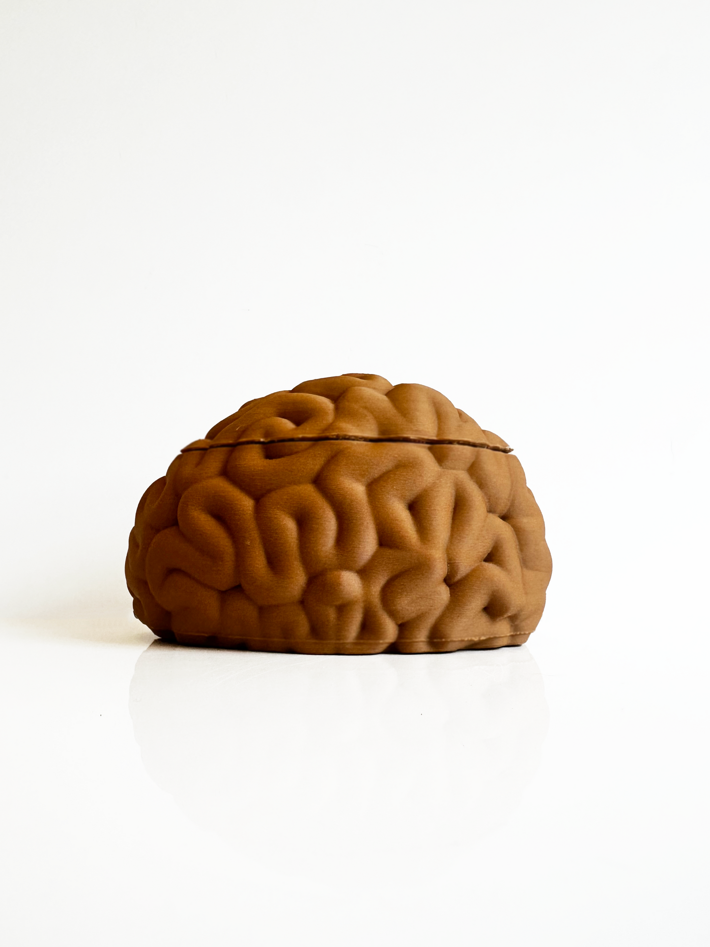 Brain Keepsake Box