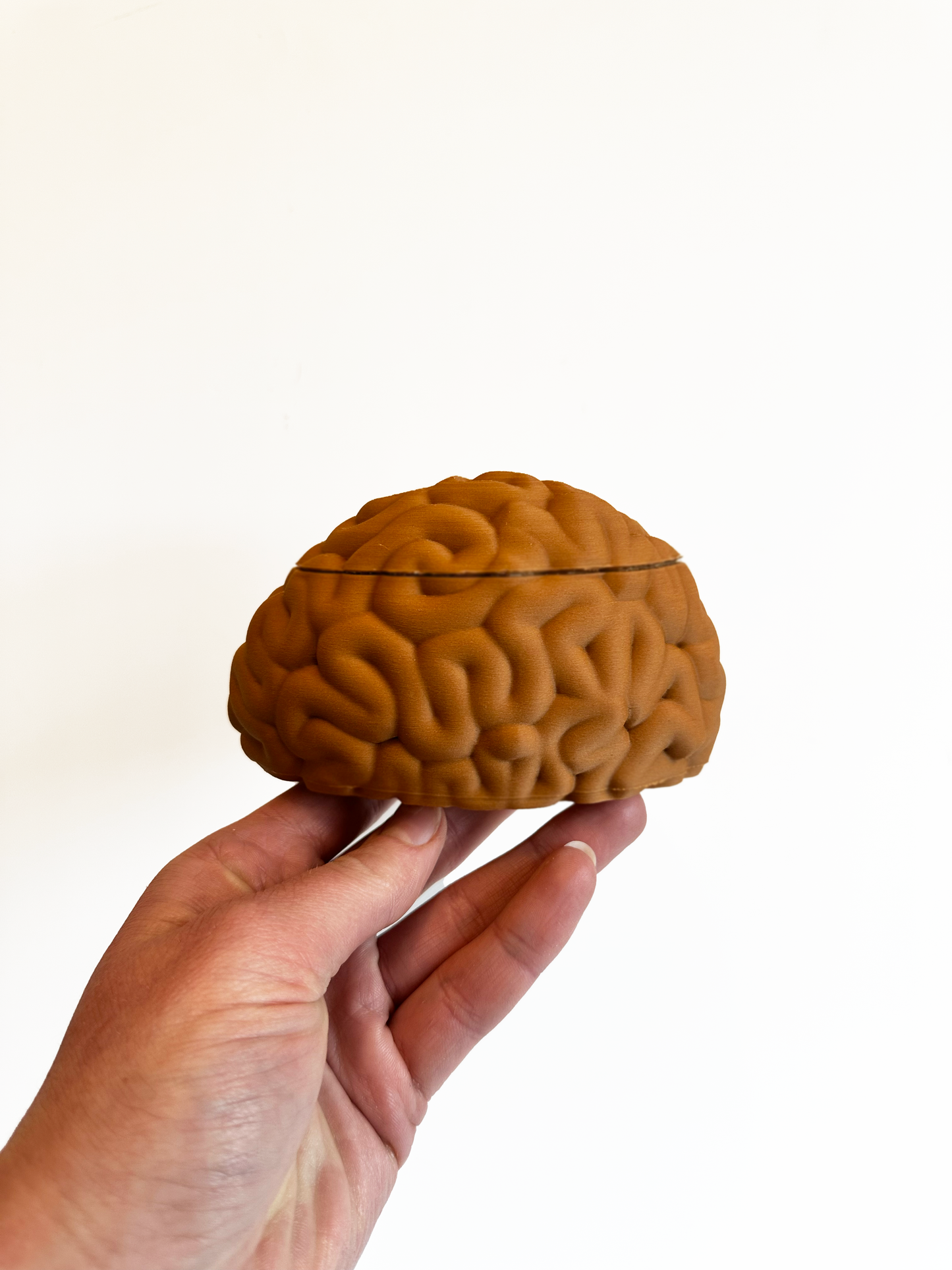 Brain Keepsake Box