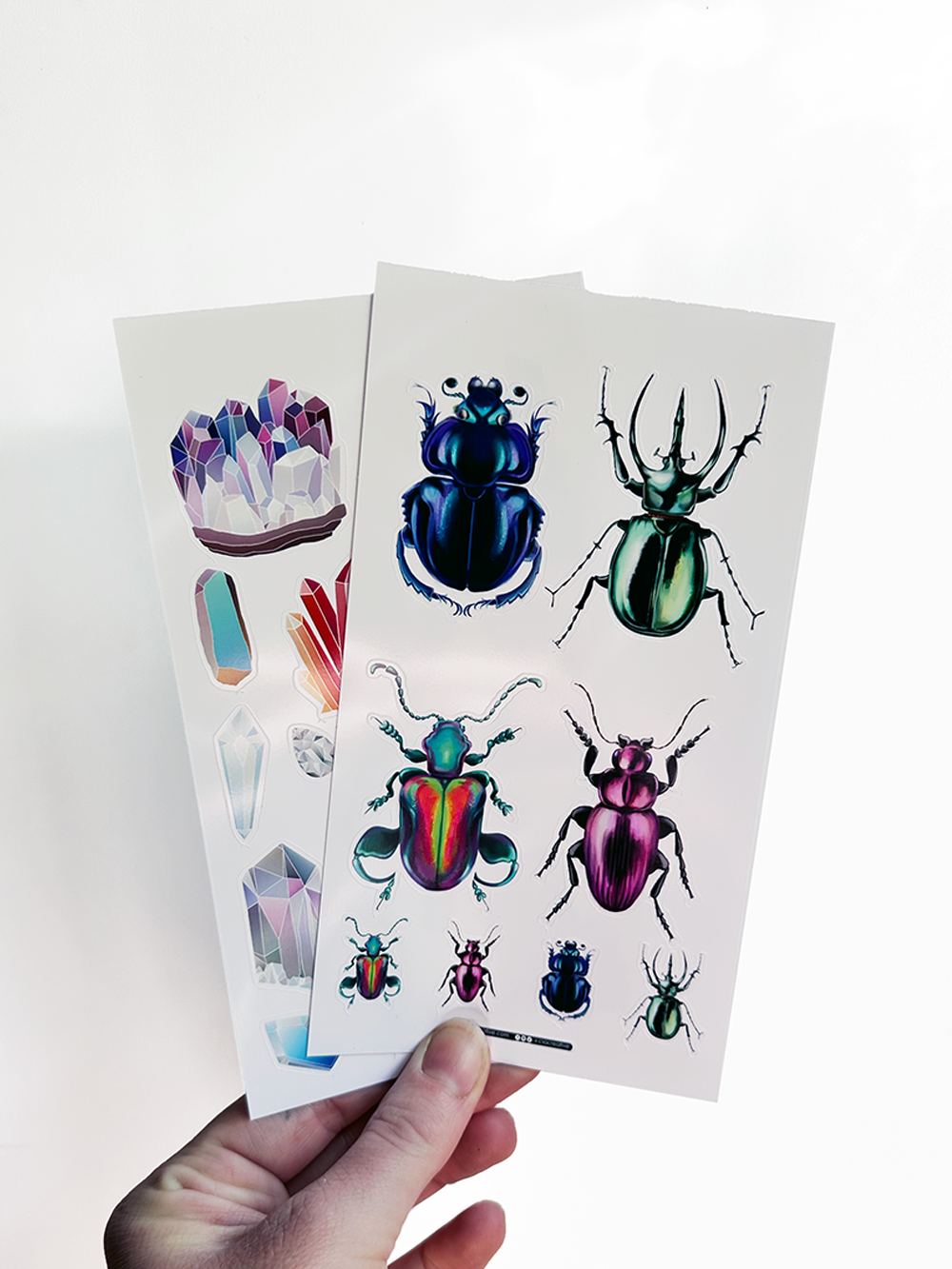 Beetles 4"x7" Sticker Sheet