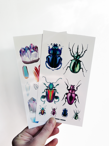 Beetles 4"x7" Sticker Sheet