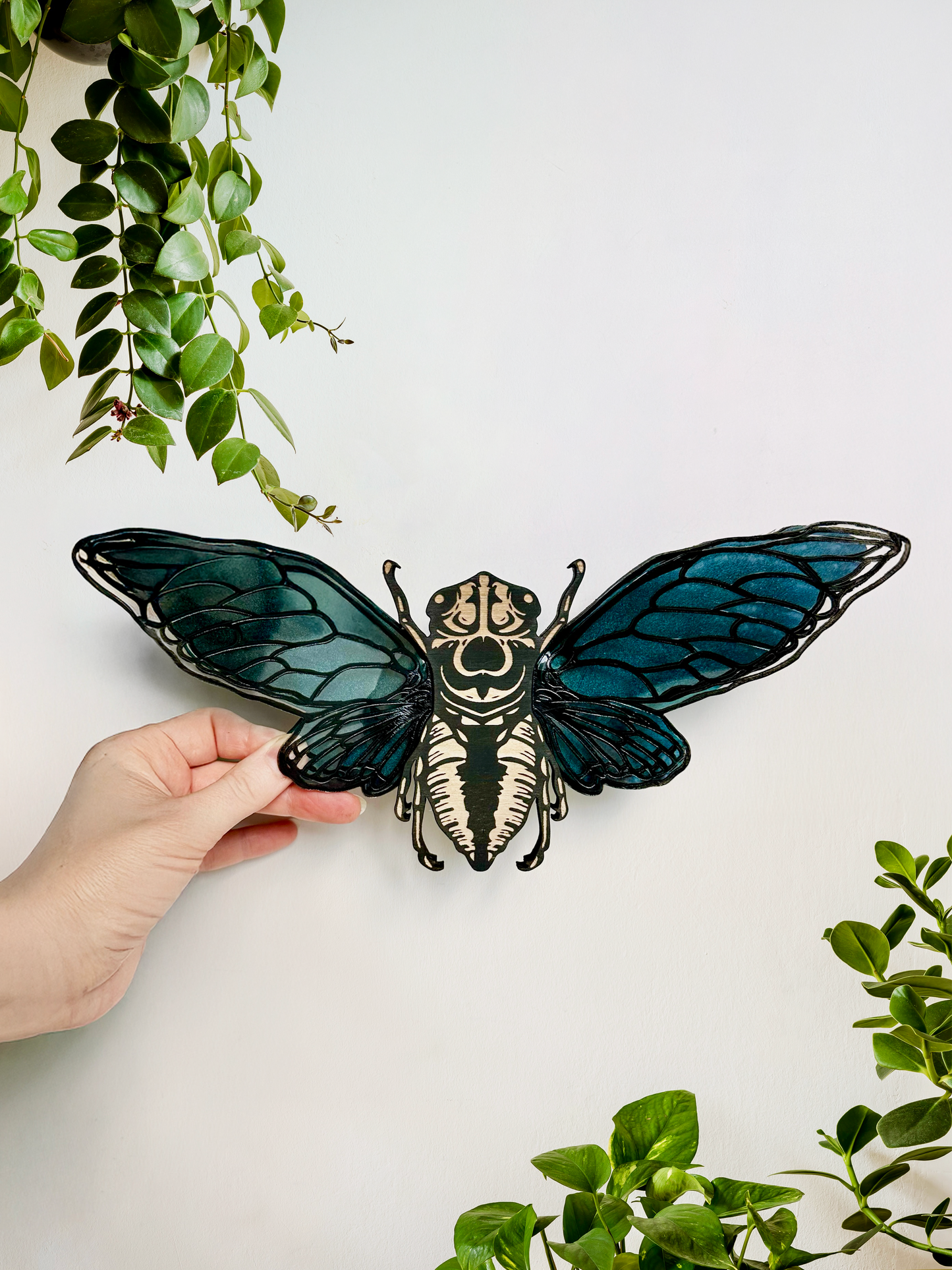 Cicada with Acrylic Wings