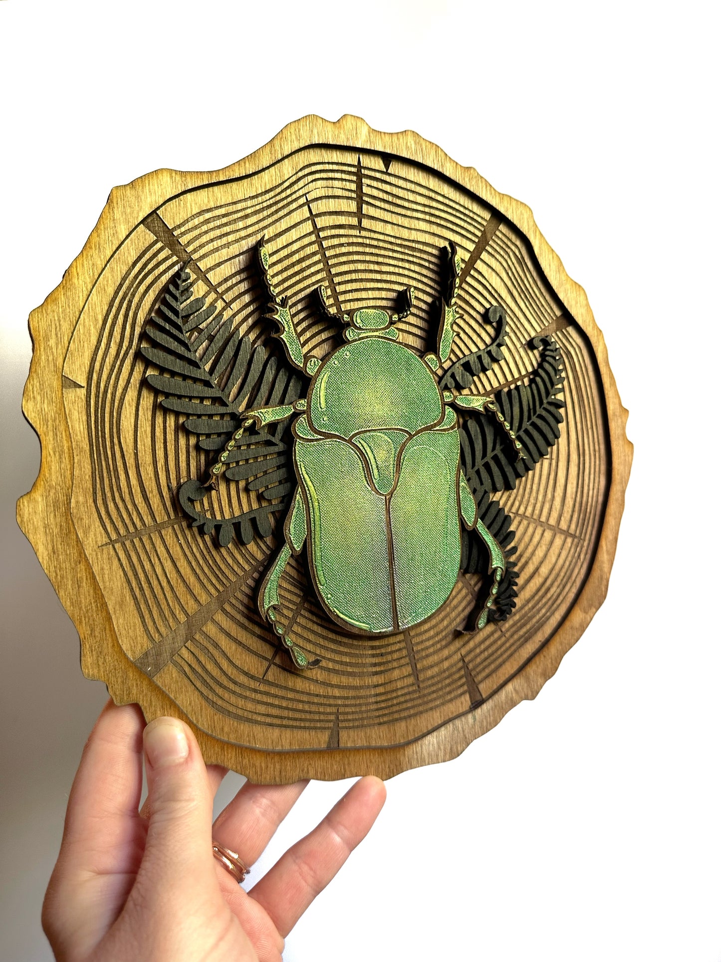 Scarab Beetle Wood Slice