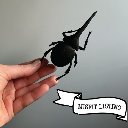 MISFIT LISTING - Mini Beetle - Hercules 1