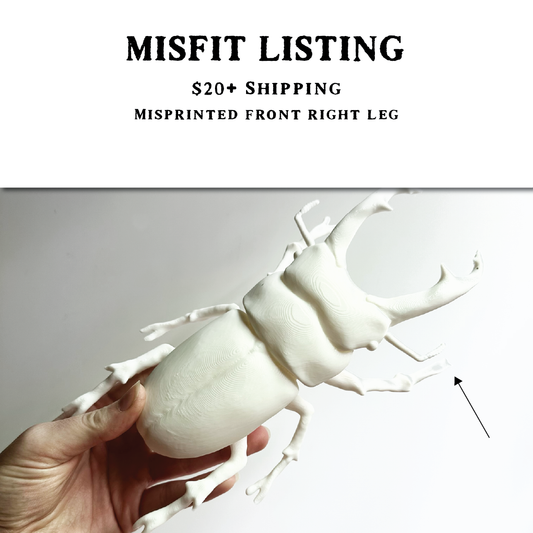 MISFIT LISTING - Giant Beetle - White Stag