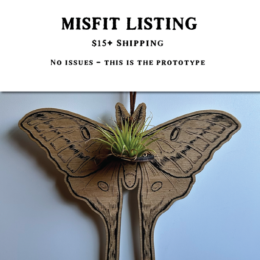 MISFIT LISTING - Luna Moth Air Plant Hanger