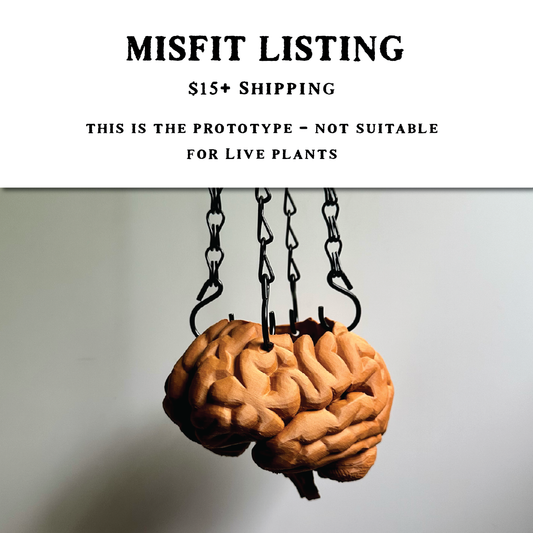 MISFIT LISTING - Brain Planter (4"x5")
