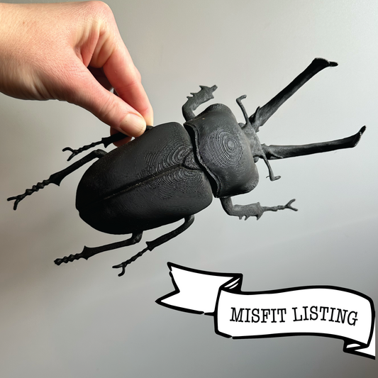 MISFIT LISTING - Giant Beetle - Stag 2