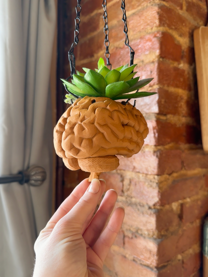 Hanging Brain Planter