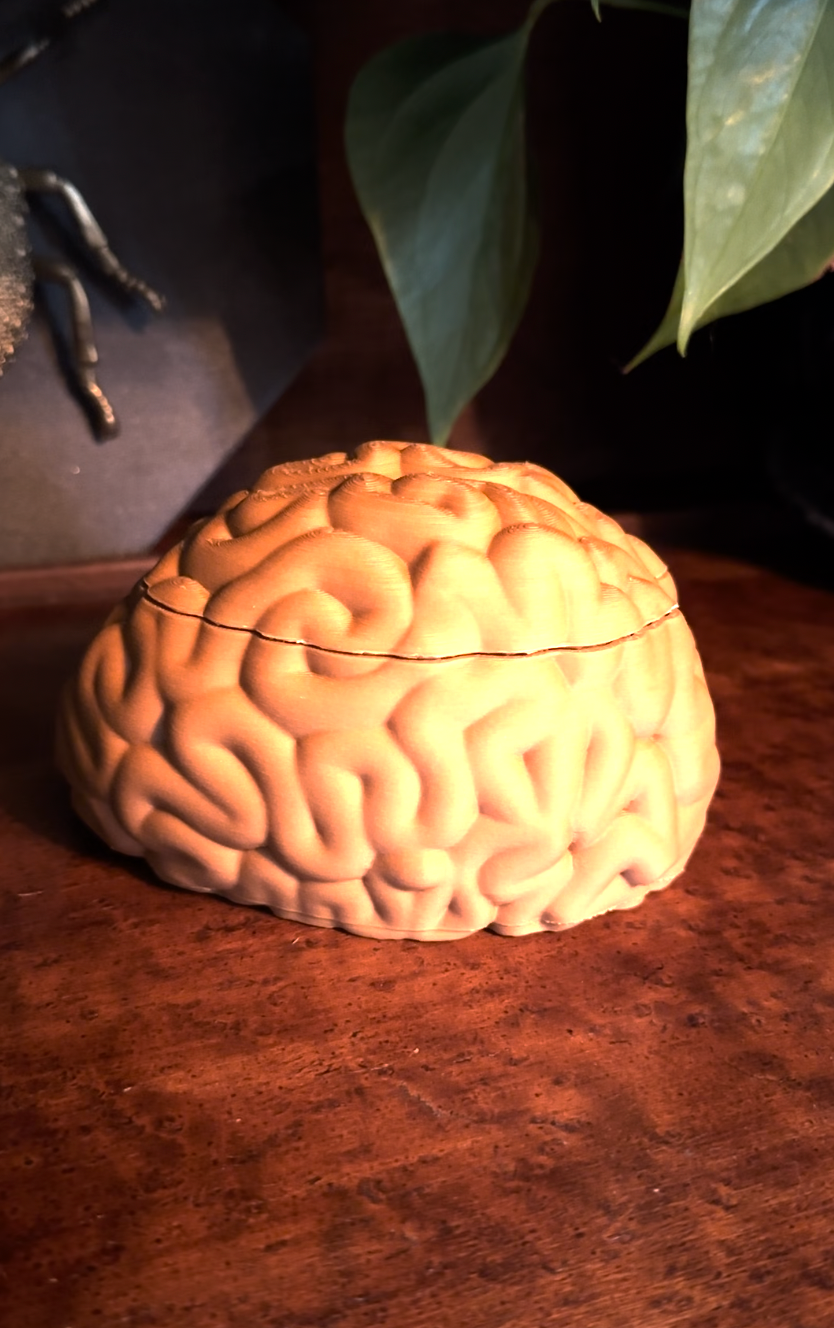 Brain Keepsake Box