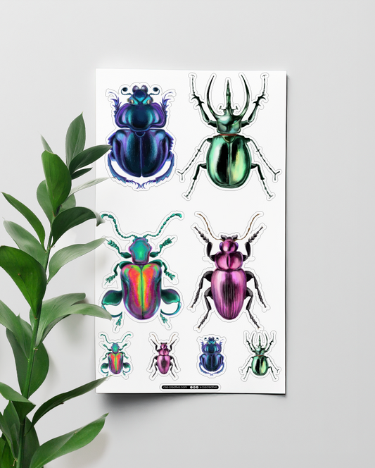 Beetles 4"x7" Sticker Sheet