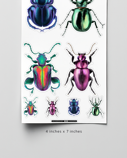 Beetles 4"x7" Sticker Sheet