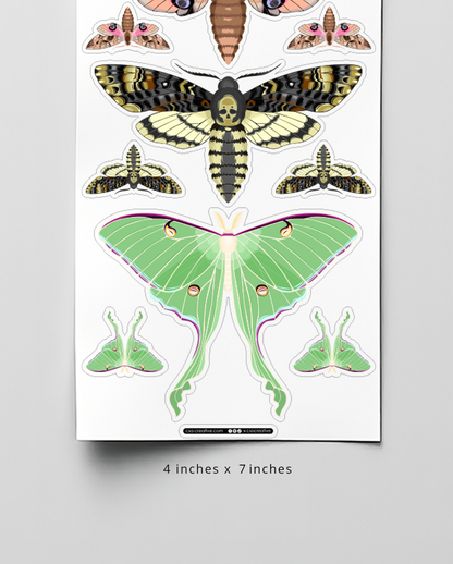 Night Moths 4"x7" Sticker Sheet