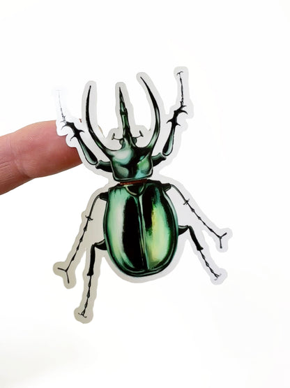 Beetles 4"x7" Sticker Sheet