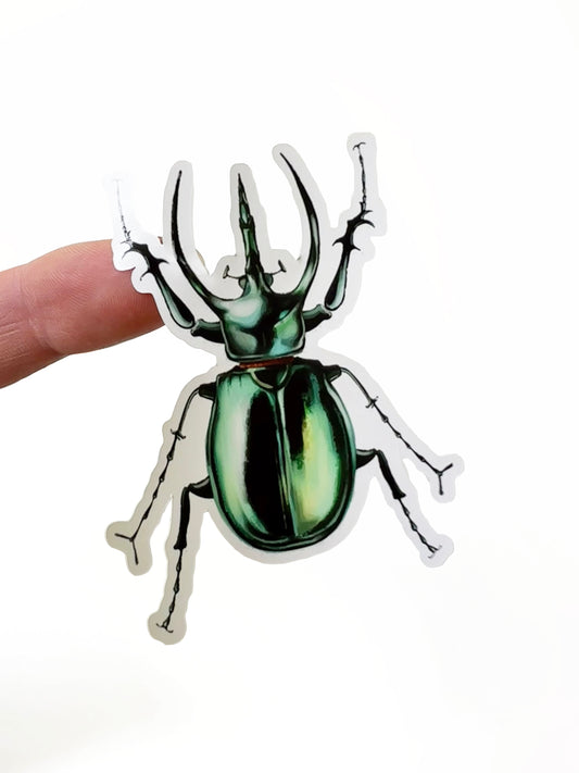 Beetles 4"x7" Sticker Sheet