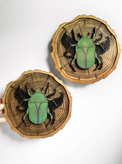 Scarab Beetle Wood Slice
