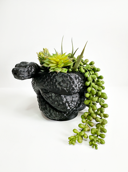 Snake Vase/Pot
