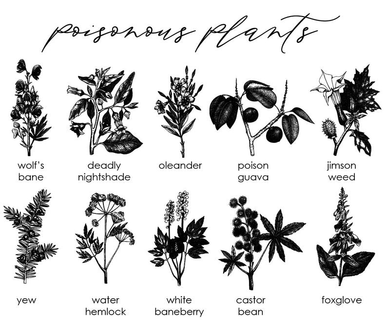 Poisonous Plants, Botanicals
