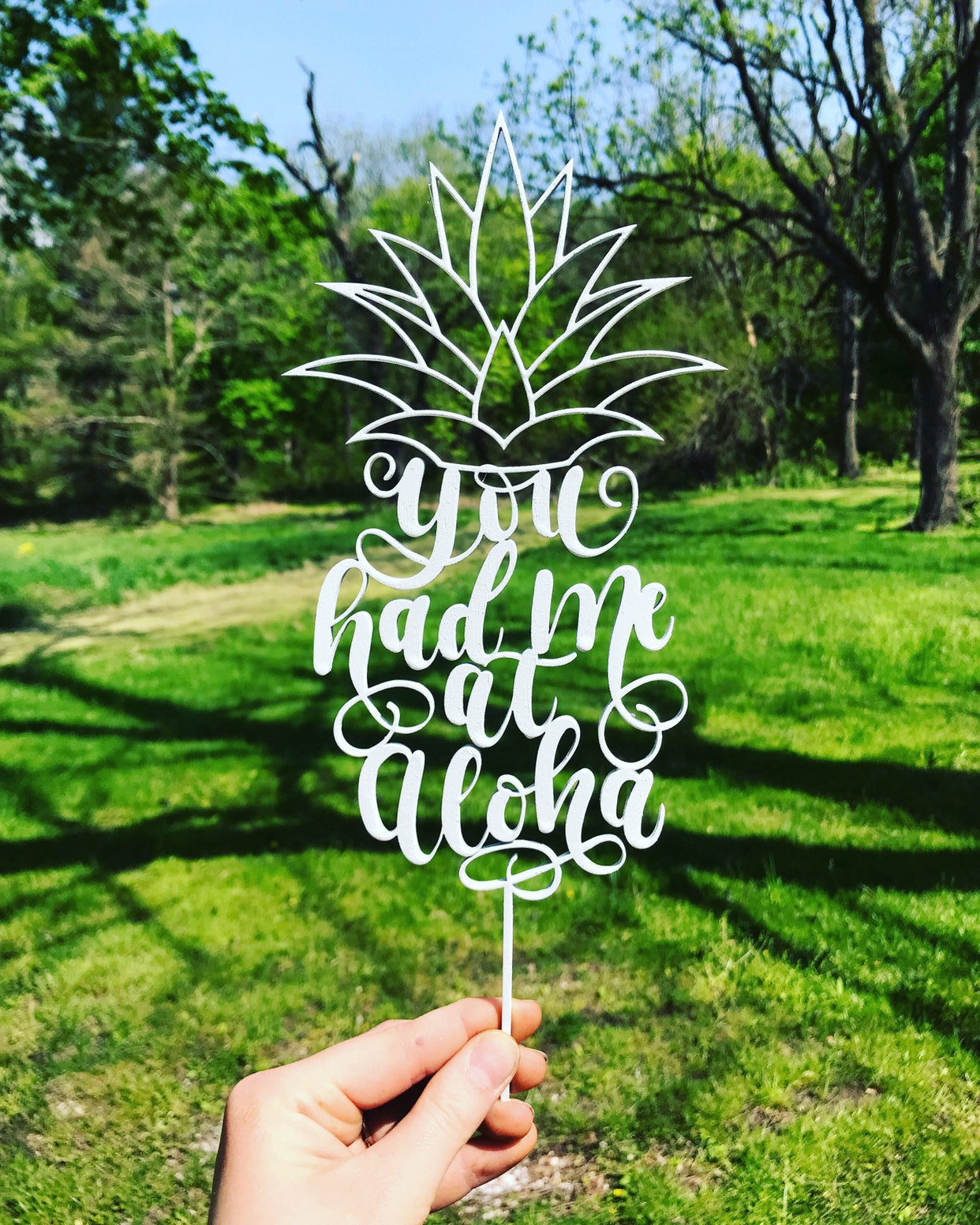 You had me at Aloha Cake Topper