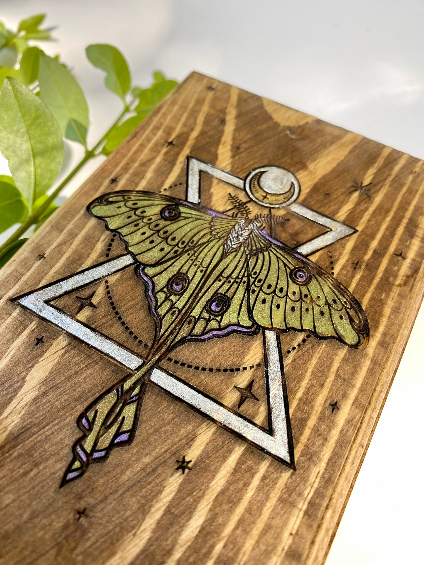 Luna Moth Tarot Box